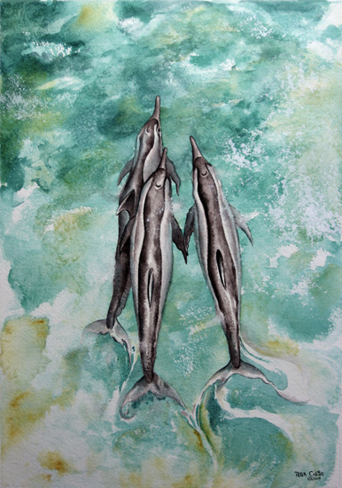 Spinner Dolphins